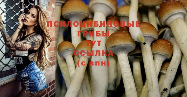 каннабис Сосновка