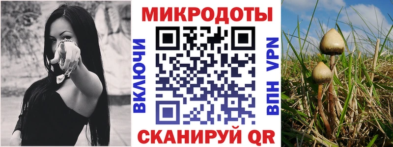 купить цена Малаховка Псилоцибиновые грибы прущие грибы
